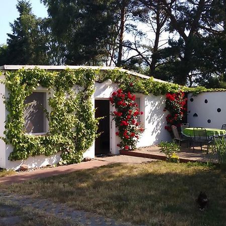 Ferienhaeuschen Born Exterior foto