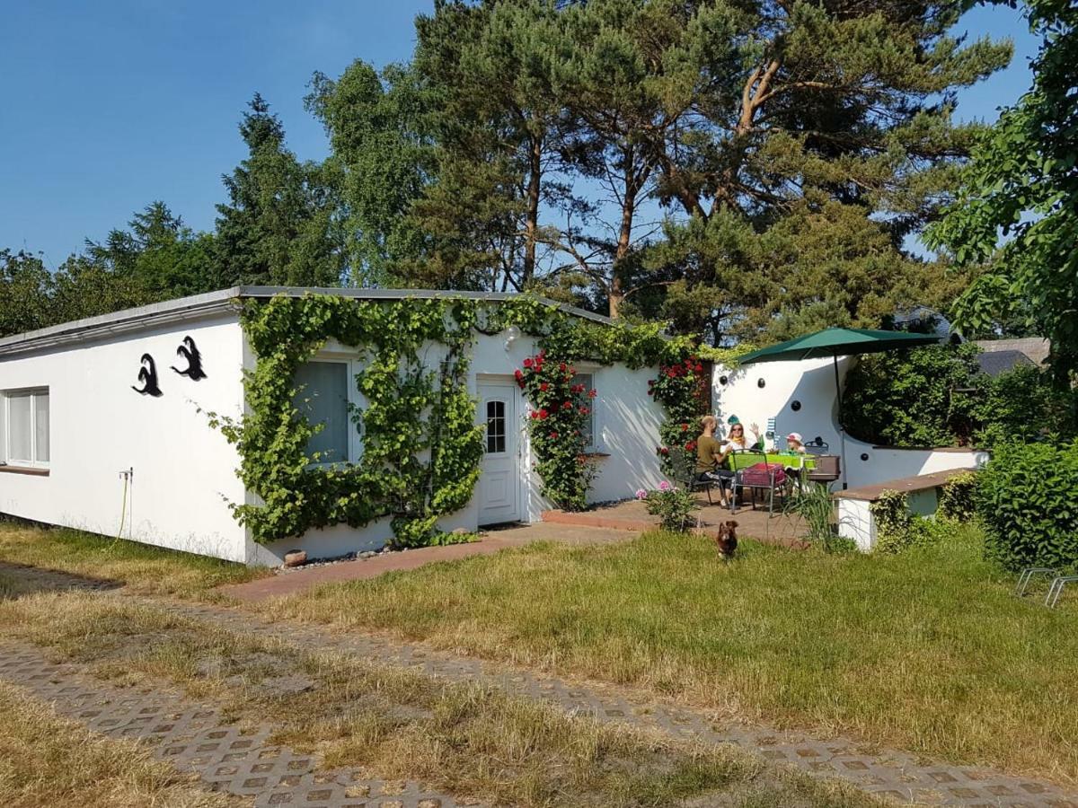 Ferienhaeuschen Born Exterior foto