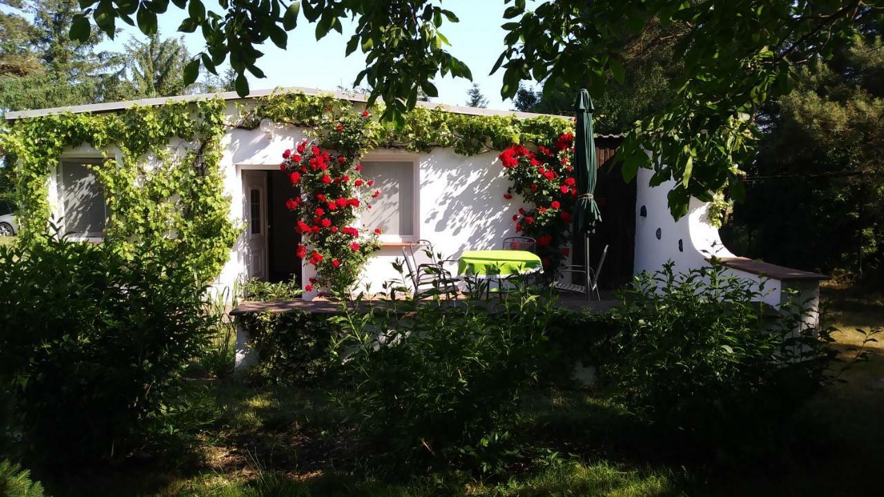 Ferienhaeuschen Born Exterior foto
