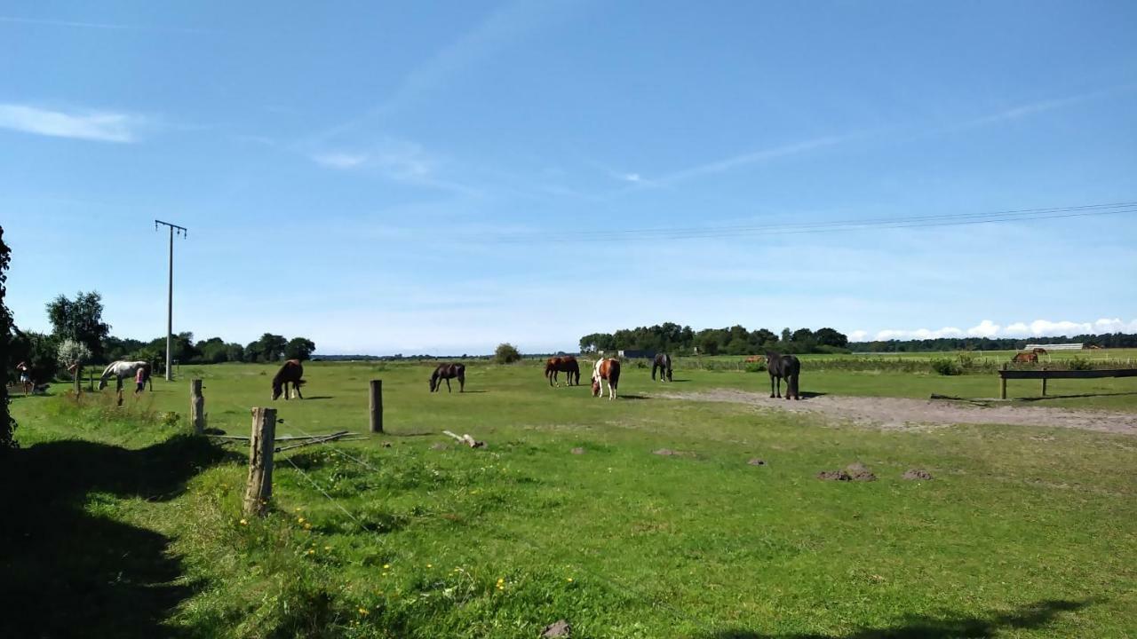 Ferienhaeuschen Born Exterior foto