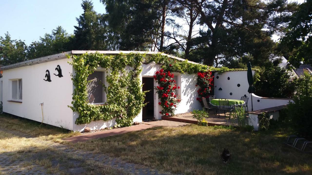 Ferienhaeuschen Born Exterior foto